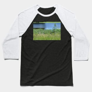 Pond and Tree Landscape, Water and Grass Baseball T-Shirt